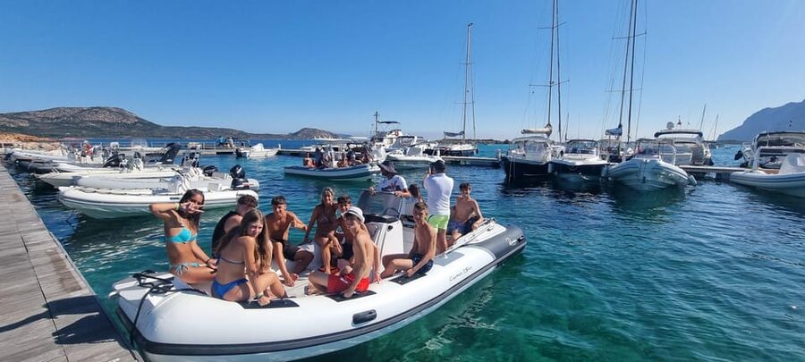 Olbia: Dolphin Watching & Swim and snorkel in Capo Figari - Dolphin Viewing Near Figarolo Island, Plus the Fish Farm Feeding Area