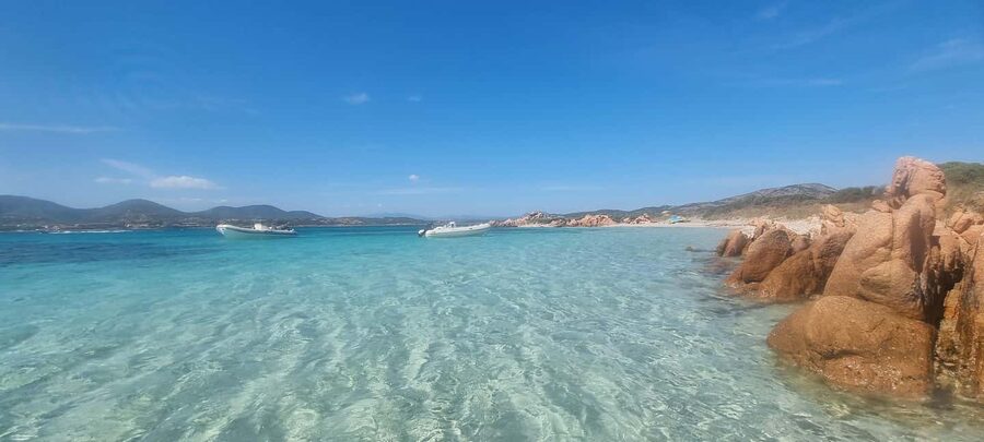 Olbia: Dolphin Watching & Swim and snorkel in Capo Figari - Price Check: Is $79.30 Worth It?