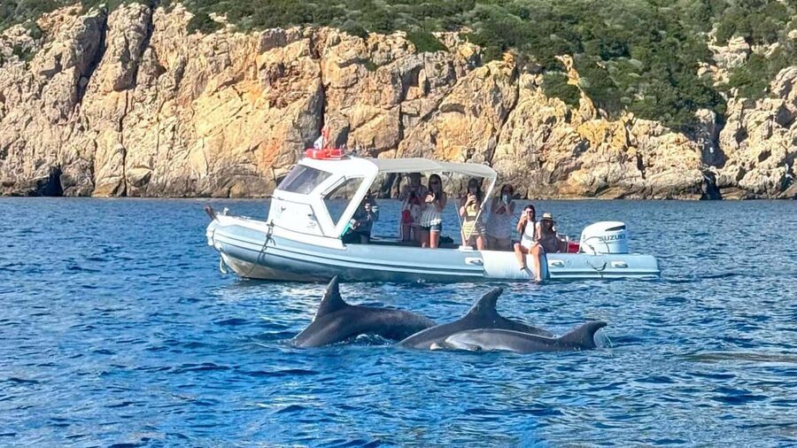 Olbia: Dolphin Watching Tour with Figarolo Island Snorkeling - From Olbia marina to Figarolo in a sporty dinghy