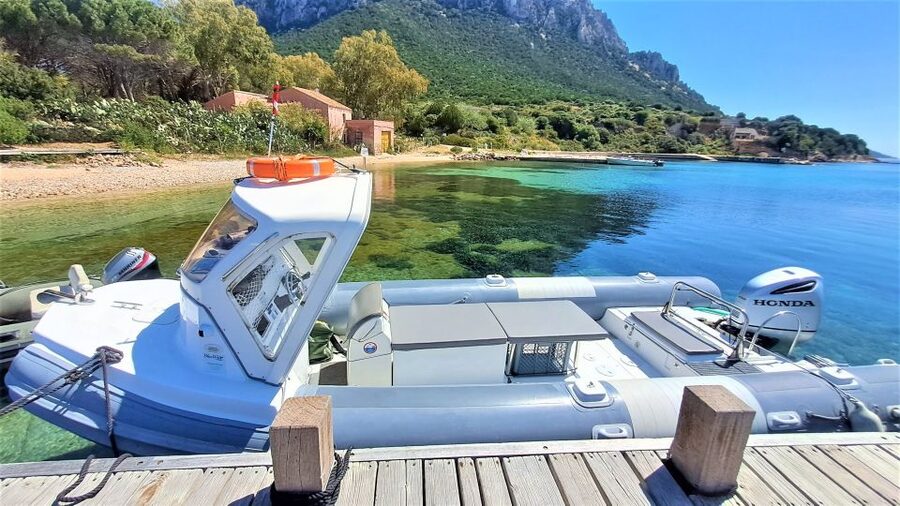 Olbia: Dolphin Watching Tour with Figarolo Island Snorkeling - Should you book from Olbia?