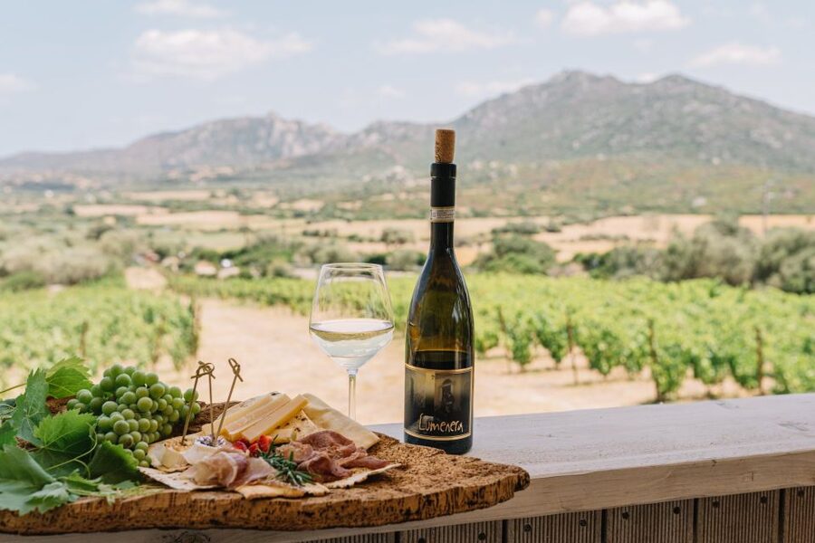 Olbia: Gallura Winery Guided Tour with Tasting - Key things I’d highlight before you go