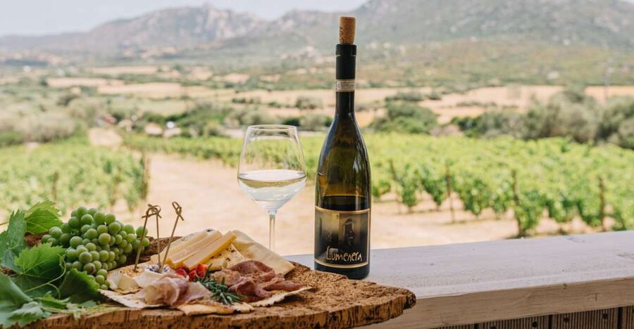 Olbia: Gallura Winery Guided Tour with Tasting - Meeting the guide at the SP73 entrance (and finding the place fast)