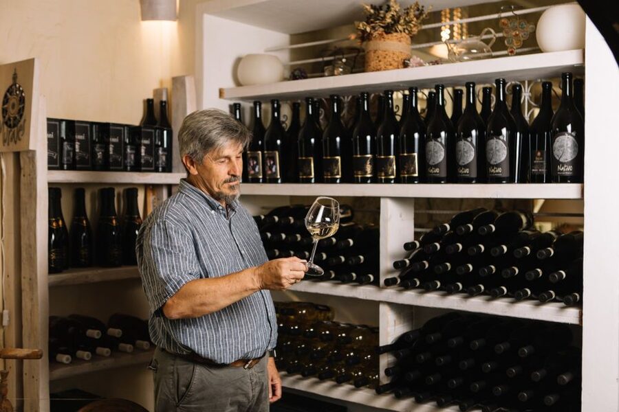 Olbia: Gallura Winery Guided Tour with Tasting - The tasting table: 3 wines, matched snacks, and no wine-show performance