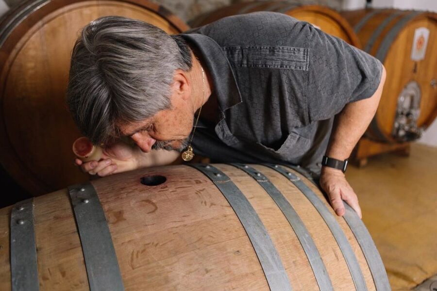 Olbia: Gallura Winery Guided Tour with Tasting - The rescue animal farm stop: why this tour feels emotionally different