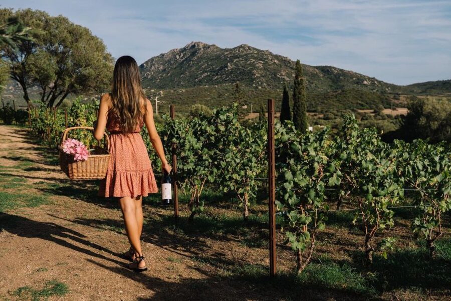 Olbia: Gallura Winery Guided Tour with Tasting - Practical logistics: what to wear, group size, and timing