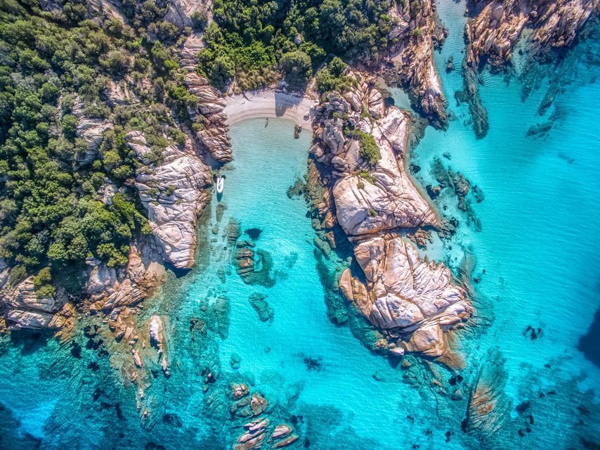 Olbia: Tavolara and Molara Snorkeling Boat Tour - Entering the Tavolara and Molara marine playground (and why it feels special)