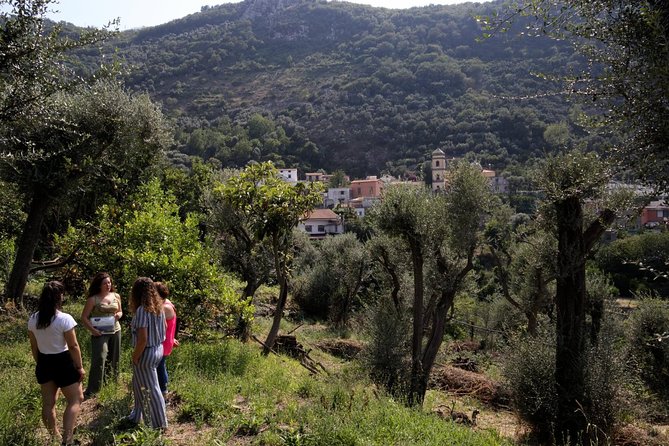 Olive oil tasting in Sorrento - Boutique shopping without the stress, and what to expect