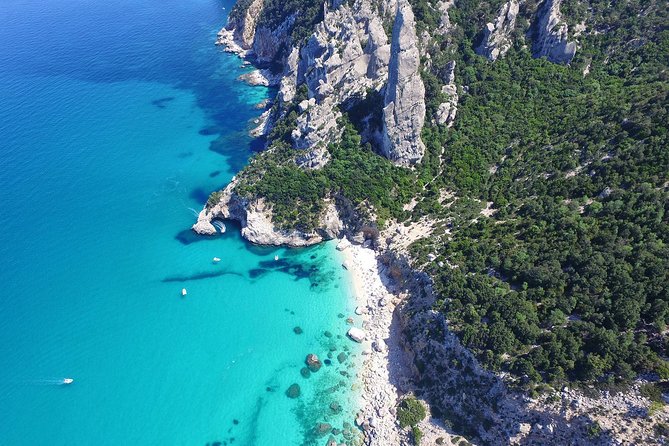 One day guided boat tour along the Baunei coast. - Key highlights to know before you go