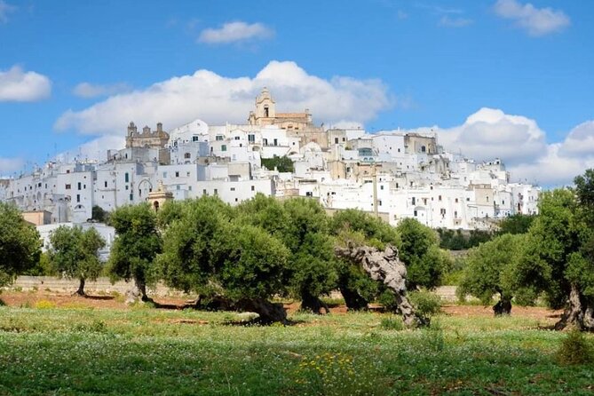 Ostuni, Alberobello and Polignano a Mare. Departing from Lecce - Stop 3, Polignano a Mare: Sea Cliffs, Roman Remains, and Terraces