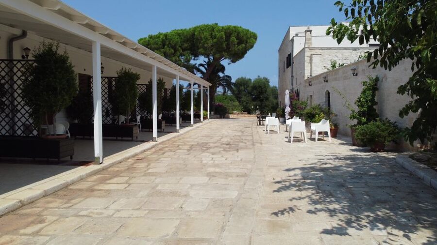 Ostuni: Olive Oil Tasting Tour - The tasting: three organic oils with olives, tarallini, and fried broad beans