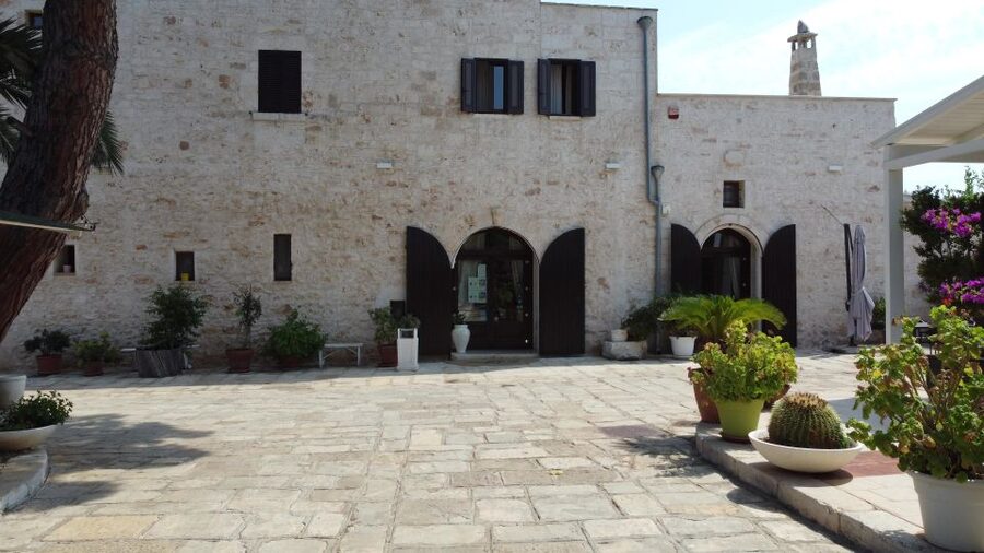 Ostuni: Olive Oil Tasting Tour - Language and guide style: what to expect, and what to watch for