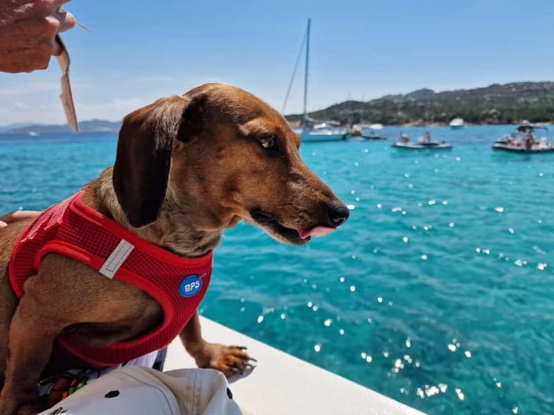 Palau: La Maddalena Archipelago Comfort Boat Tour with Stops - Stop 1: Spargi and Cala Corsara, rock formations and a swim-ready inlet