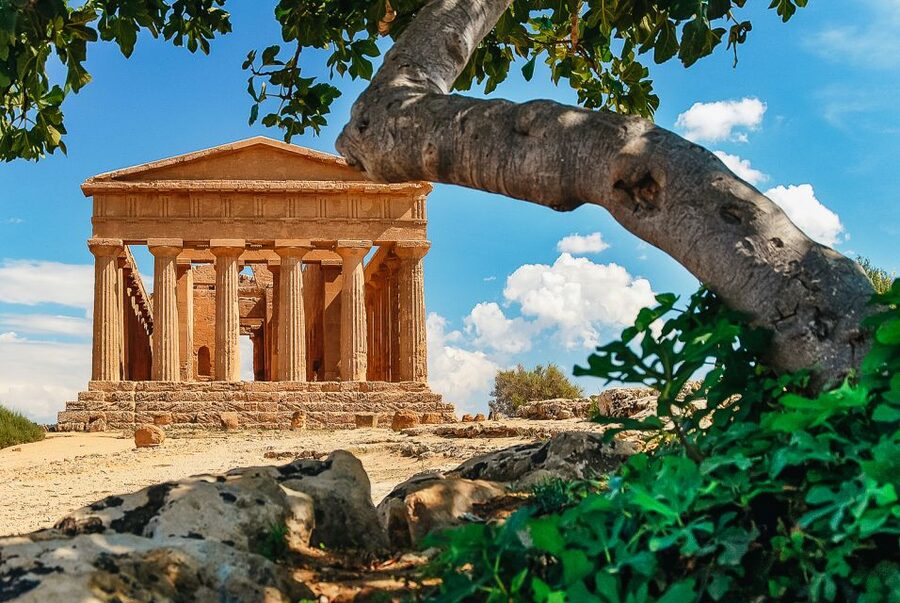 Palermo: Agrigento and the Valley of the Temples Day Tour - Transportation and Drivers: Comfort, Timing, and Helpful Human Details
