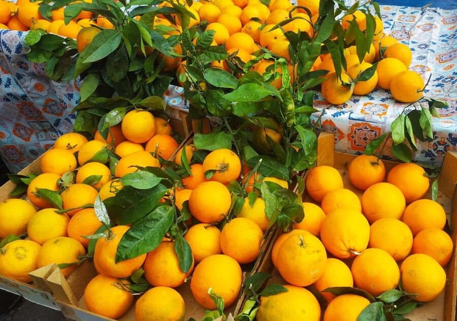 Palermo: Street Food Walking Tour with Local Guide & Tasting - Meet Near Teatro Massimo, Then Let the City Lead