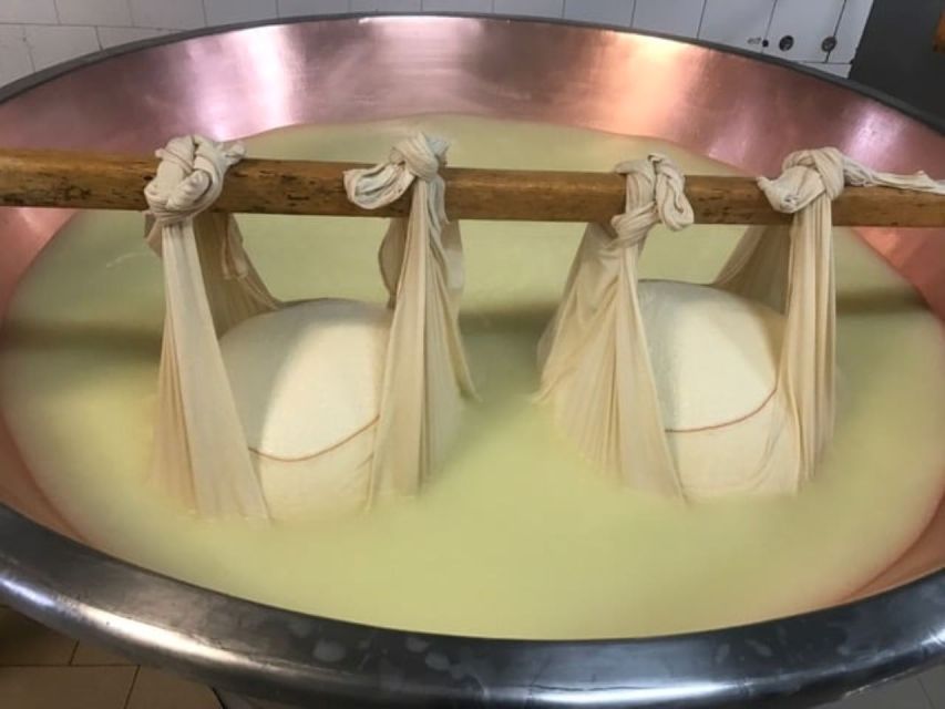 Parma: Parmigiano Production and Parma Ham Tour & Tasting - What to Wear and Bring: Small Rules That Make the Day Smoother