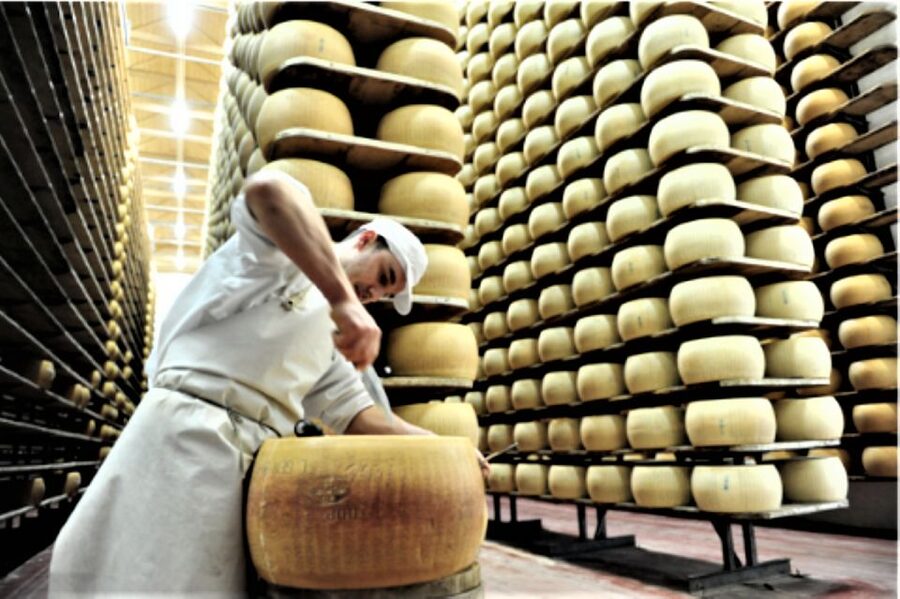Parma: Parmigiano Production and Parma Ham Tour & Tasting - Should You Book This ParmaLook Food Tours Experience?