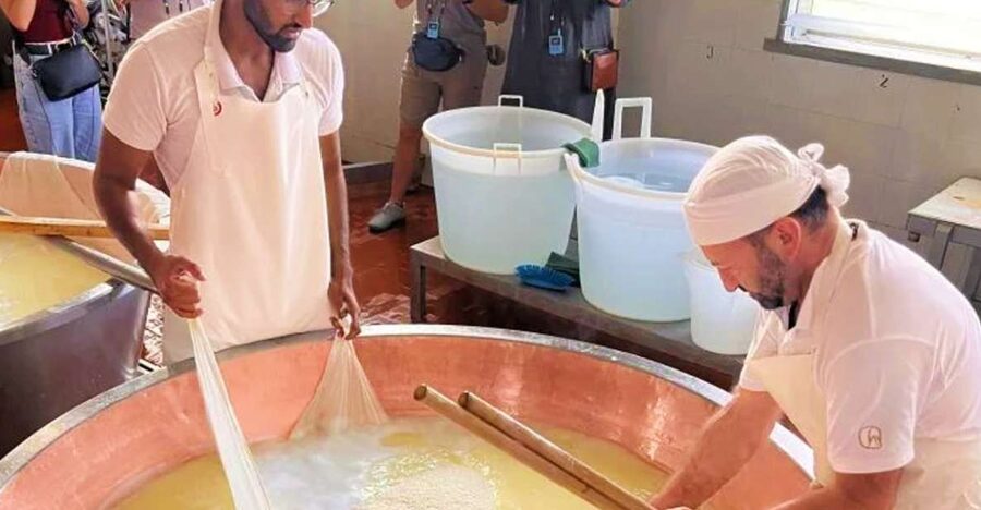 Parma: Traditional Cheese Factory Visit with Tasting - Key highlights worth knowing