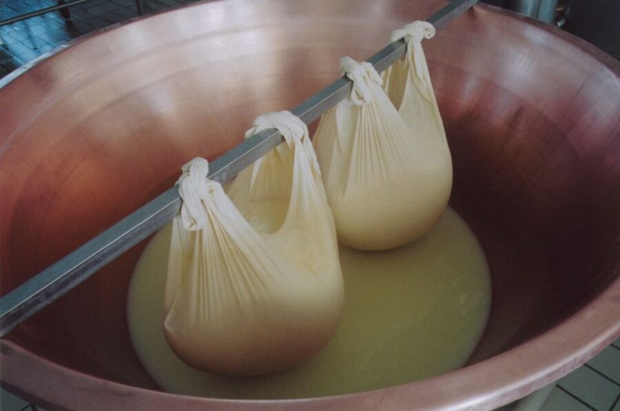 Parma: Traditional Cheese Factory Visit with Tasting - Transport and headsets: small details that affect comfort