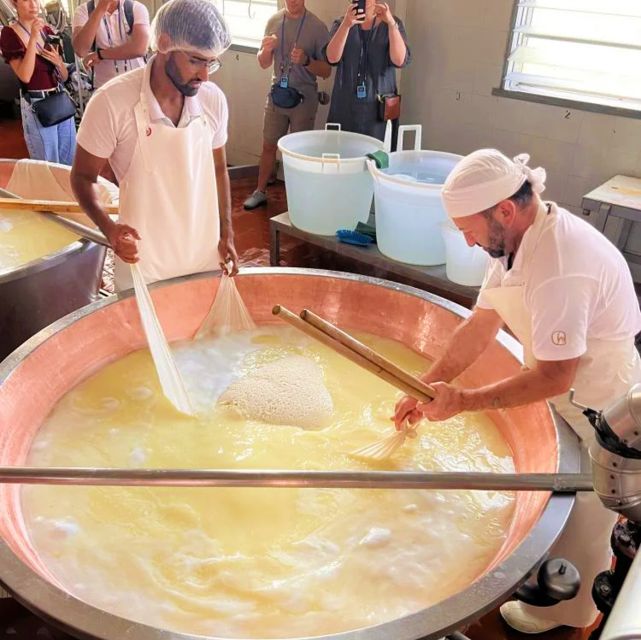Parma: Traditional Cheese Factory Visit with Tasting - Who this Parma tour fits, and who should skip it