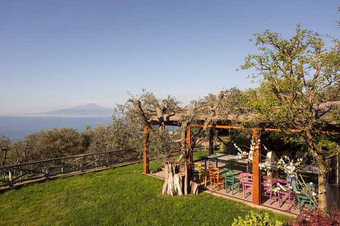 Pasta & Traditional Sorrento Cuisine with Pickup - 100% Hands On - Villa del Barone Turns Dinner Into a Lesson
