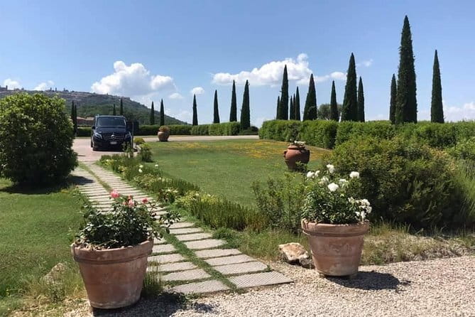 Pisa and Lucca Day Trip from Florence - Buccellato Tasting and Your Free Time Strategy in Pisa and Lucca