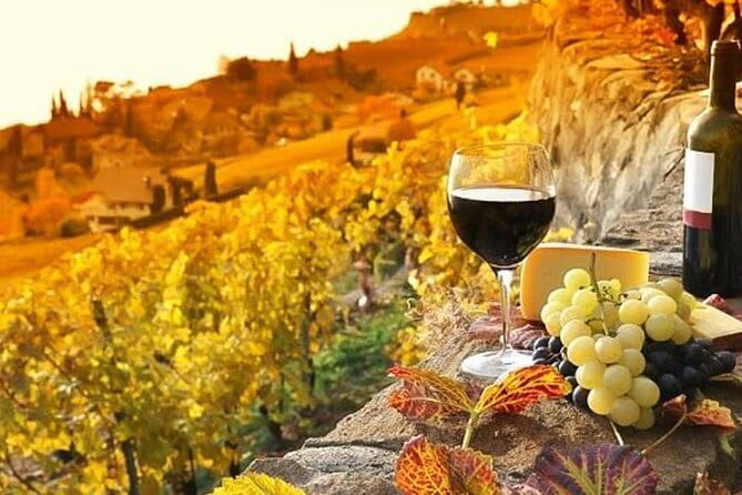 Pisa, Siena and San Gimignano Day Trip with Lunch & Wine Pairing - Price and Value: Is $78.60 a Good Deal for This Much Ground?