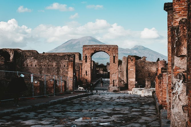 Pompeii: 2 Hour Private Tour with an Archeologist Guide - Archaeological Park of Pompeii: the best parts of the city, in a focused route