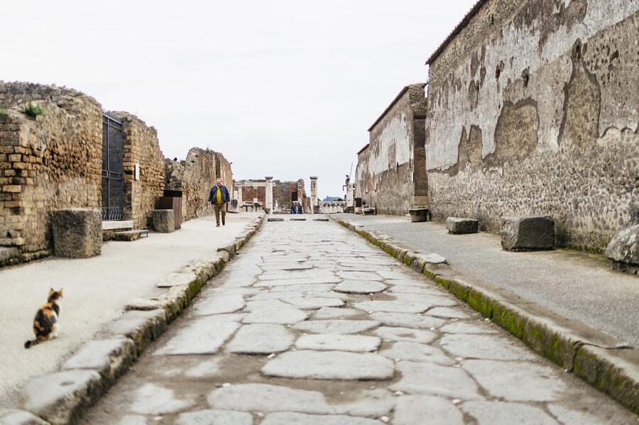 Pompeii: Afternoon to Sunset Guided Tour with Ticket - Vesuvius in 79 AD: the story that ties everything together