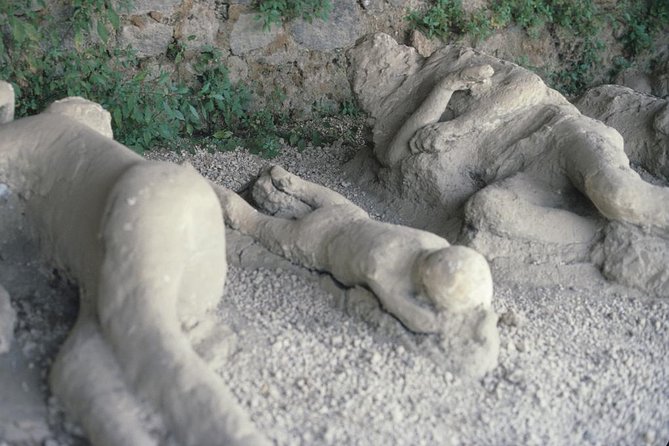 Pompeii and Mount Vesuvius Day Trip from Rome with Pizza Lunch - Price and value: is $90.70 a fair deal?