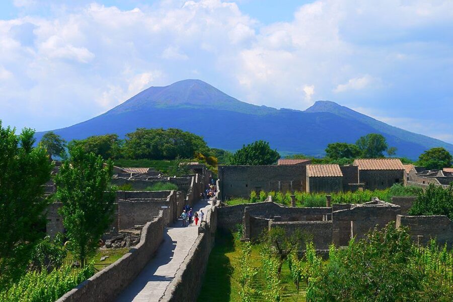 Pompeii and Vesuvius Full-Day Tour from Amalfi Coast - Price and value: is $164.26 a good deal?