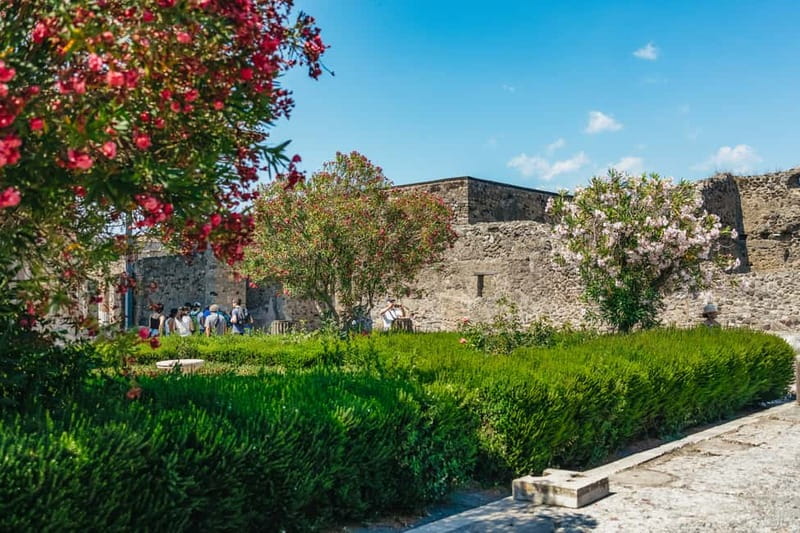 Pompeii: Archaeological Park Tour with Ticket on request - Skip-the-line express and what option you should choose