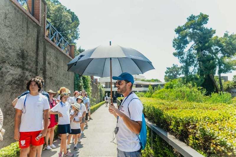 Pompeii: Archaeological Park Tour with Ticket on request - Value at $31.89: what you get for the money