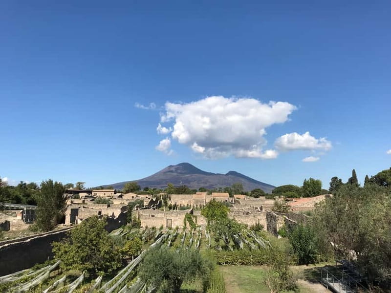 Pompeii: Exclusive Tour with Archaeologist and Entry Tickets - Starting at Porta Marina Superiore, right by Pompei Scavi