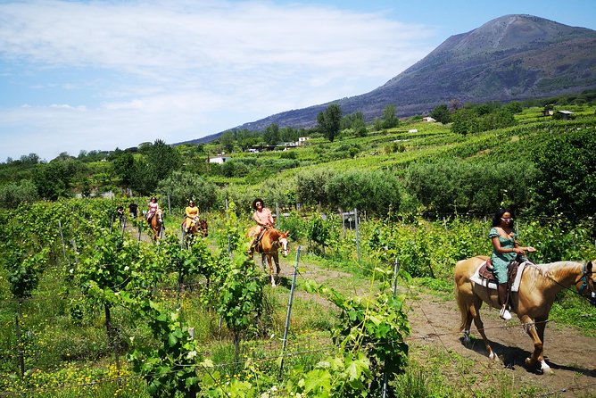 Pompeii Guided Tour & Horse Riding on Vesuvius with Lunch - Pompeii heat management: what to pack for a better day