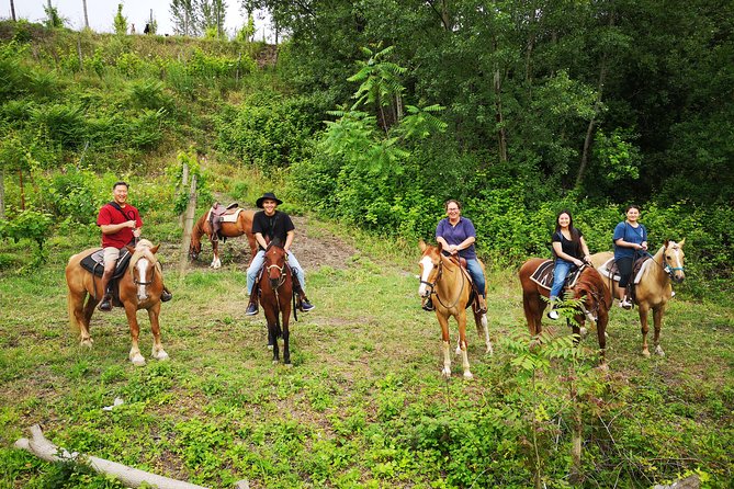 Pompeii Guided Tour & Horse Riding on Vesuvius with Lunch - Terzigno-style vineyard riding: why elevation changes the experience