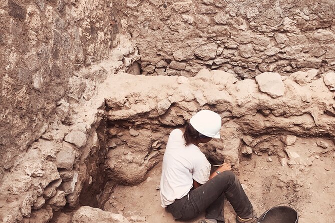 Pompeii Private Tour with an Archaeologist and Skip The Line - The skip-the-line reality: tickets are separate, but the process is supported