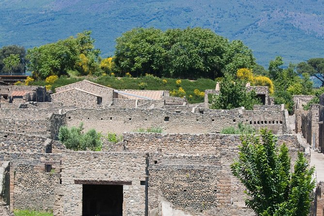 Pompeii Ruins Half-Day Tour from Sorrento with Guide - Guides you might get, and what good guiding feels like