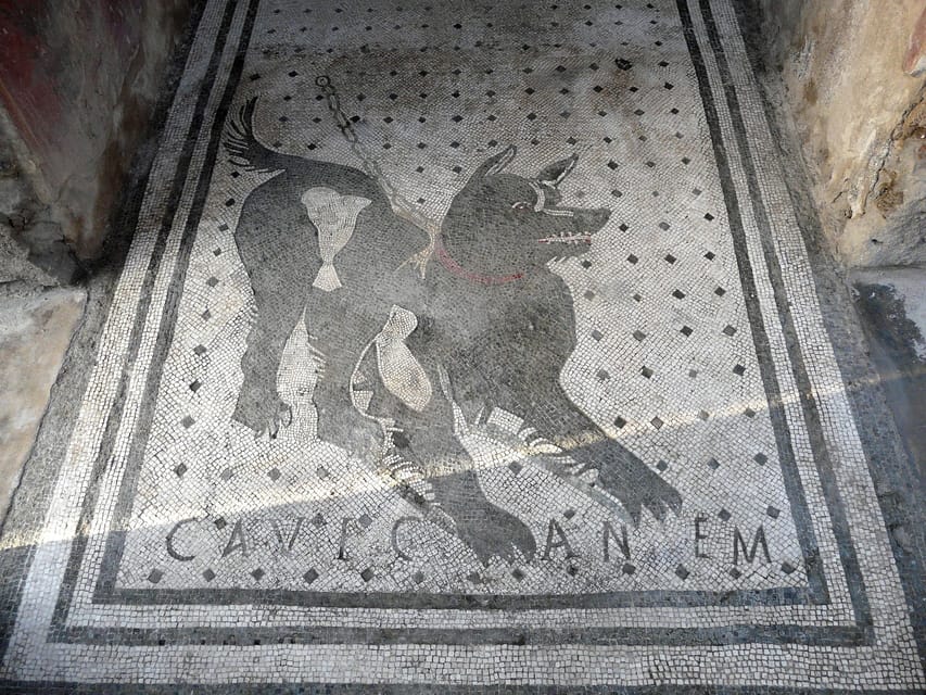 Pompeii: Skip-the-Line Entry & Audioguide - What you get on the ground: audioguide and map setup