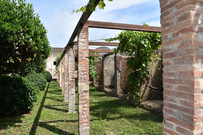 Pompeii Skip-the-line Tour with Archaeologist Guide - Following everyday streets to businesses, bars, and shops