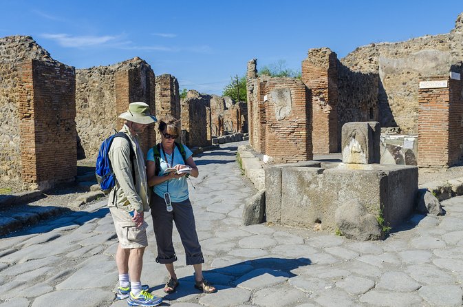 Pompeii: Small Group Tour with an Archaeologist - Temples, Baths, and the Great Theatre: Pompeii’s Daily Stage