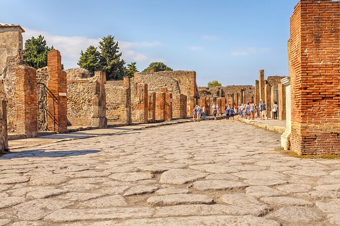Pompeii Ticket + Tour with Optional Tasting Experience at Pompeii - What you’ll actually see inside Pompeii, including villas and the forum
