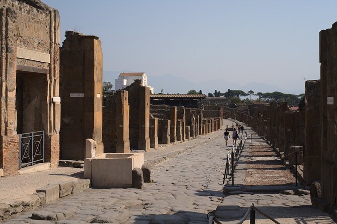 Pompeii Tour & Lunch with Wine Tasting Experience - Getting there smoothly: pickup options and the meeting point