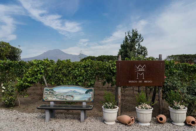 Pompeii Vineyard Escape: Private Wine Tasting & Lunch - A private Pompeii wine tasting that feels like a break