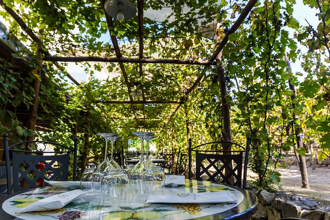 Pompeii Vineyard Escape: Private Wine Tasting & Lunch - Lunch under the vines: bruschetta, paccheri, babà, and real pairings