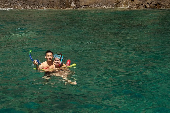 Ponza Island Day Trip from Rome including Lunch - Price and logistics: is $195.80 worth it?