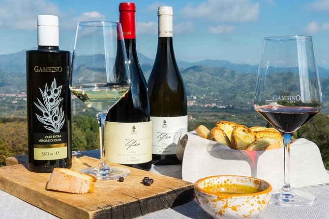 Private 6-Hour Tour of Three Etna Wineries with food&wine tasting - Stop one: panoramic Etna DOC wines and Sicilian bread bites