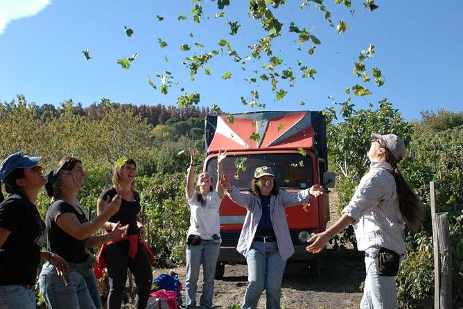Private 6-Hour Tour of Three Etna Wineries with food&wine tasting - Stop two: four wines with a tagliere and pasta