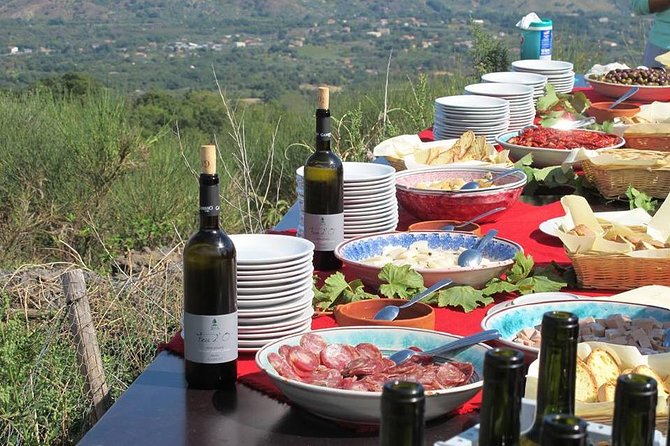 Private 6-Hour Tour of Three Etna Wineries with food&wine tasting - How the guide changes the experience, names you may meet