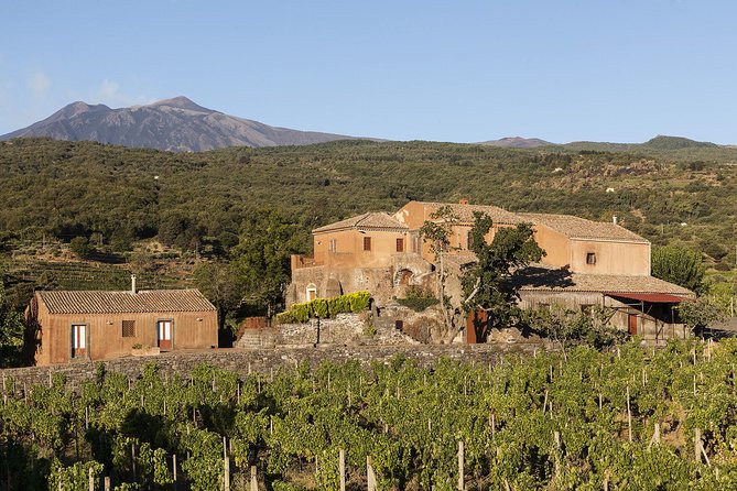 Private 6-Hour Tour of Three Etna Wineries with food&wine tasting - Why the food-and-wine pairing is the main value