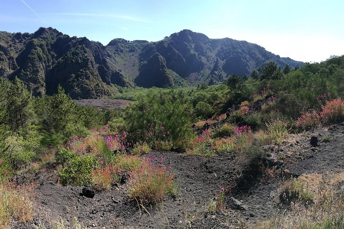 Private Day Tour to Vesuvius, Herculaneum & Pompeii with Pick Up - Price and Value: What You’re Really Buying